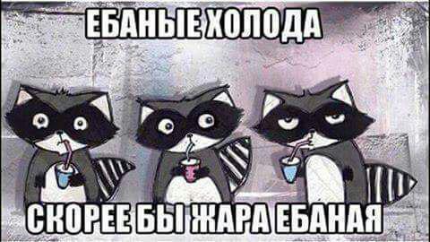 Коротко о погоде