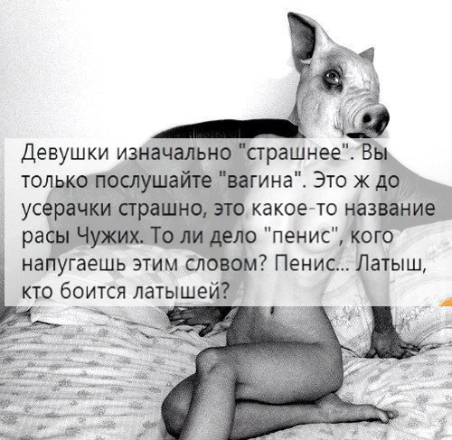 Немного картинок на вечер