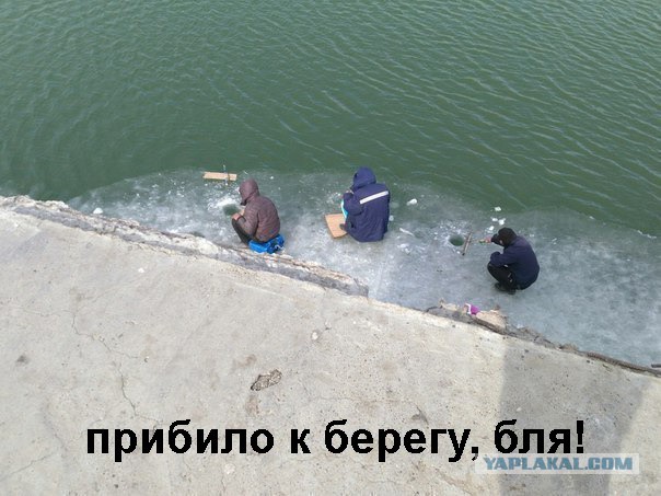 Пачка картинок