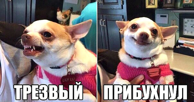 Клуб анонимных алкоголиков