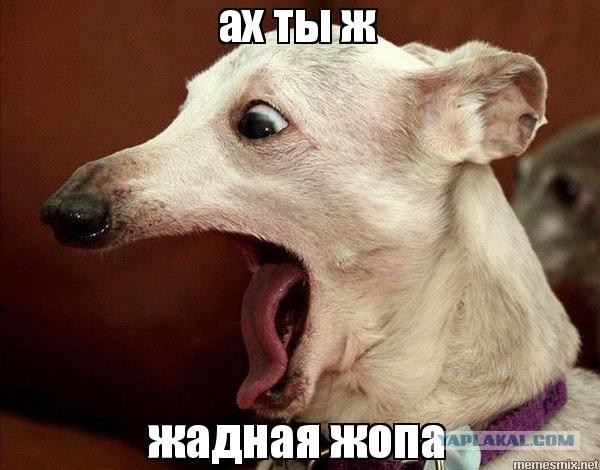Требуется рабыня