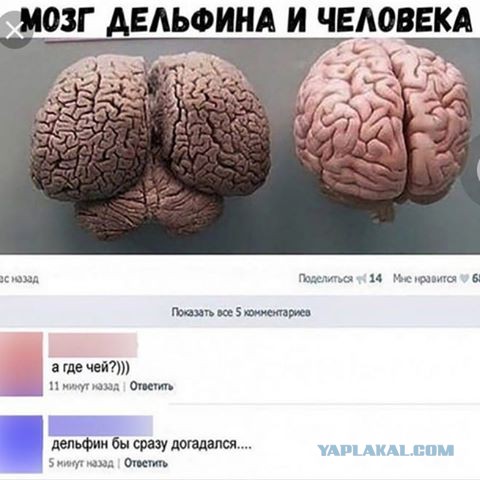 Вы тут кое-что потеряли...