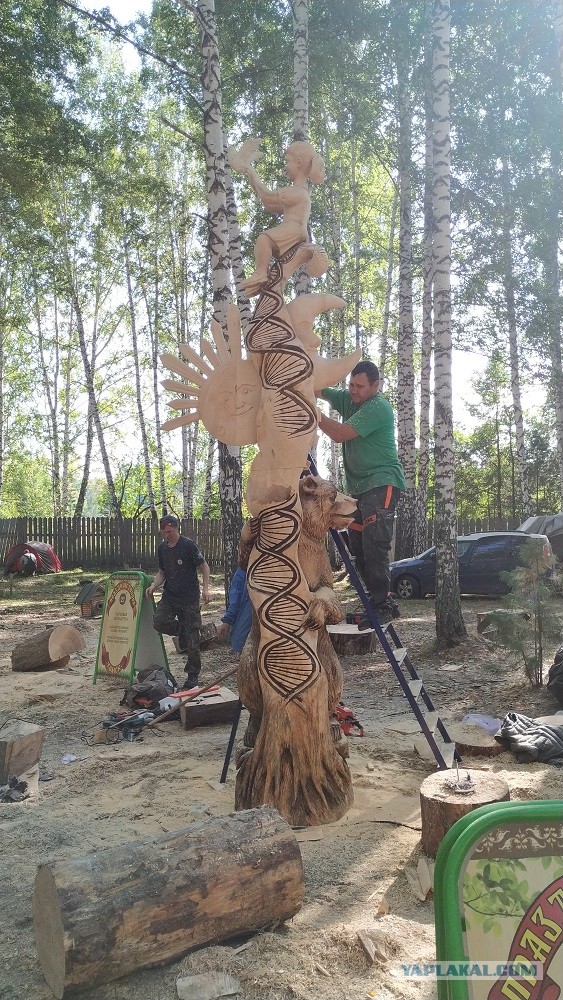 Божья коровка