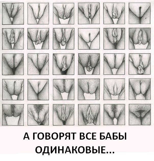 Клонируй пельмешку любимой девушки!