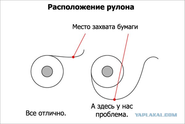 Как правильно вставлять туалетную бумагу (5 фото)