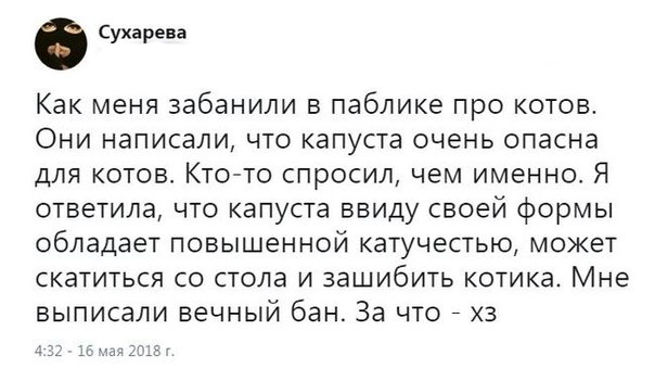 Немного картинок для настроения 26.01.20