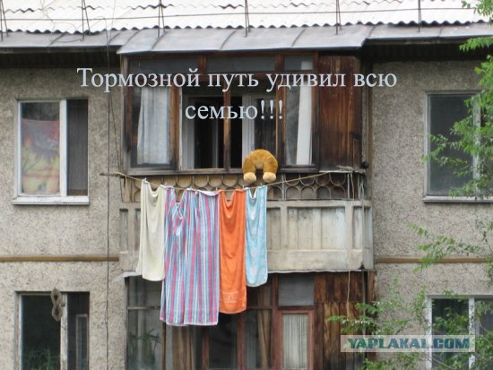 Конкурс: подпись к картинке