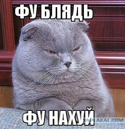 Секс в машине, личный опыт!