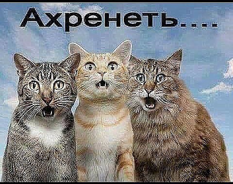 Просто картинки!