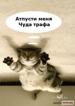 Прикольные и просто красивые картинки 09.09.2020
