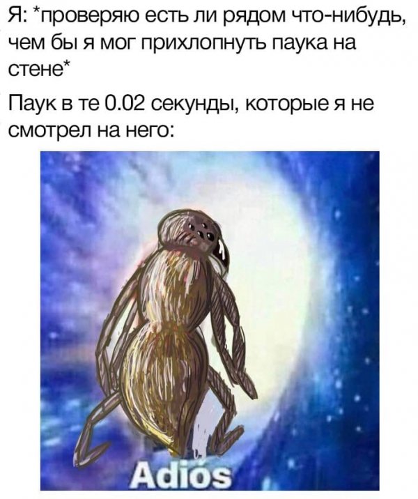 Бредзона 28.10.2020