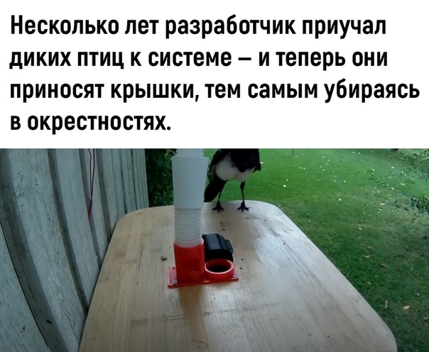 Немного картинок для настроения 30.10.20