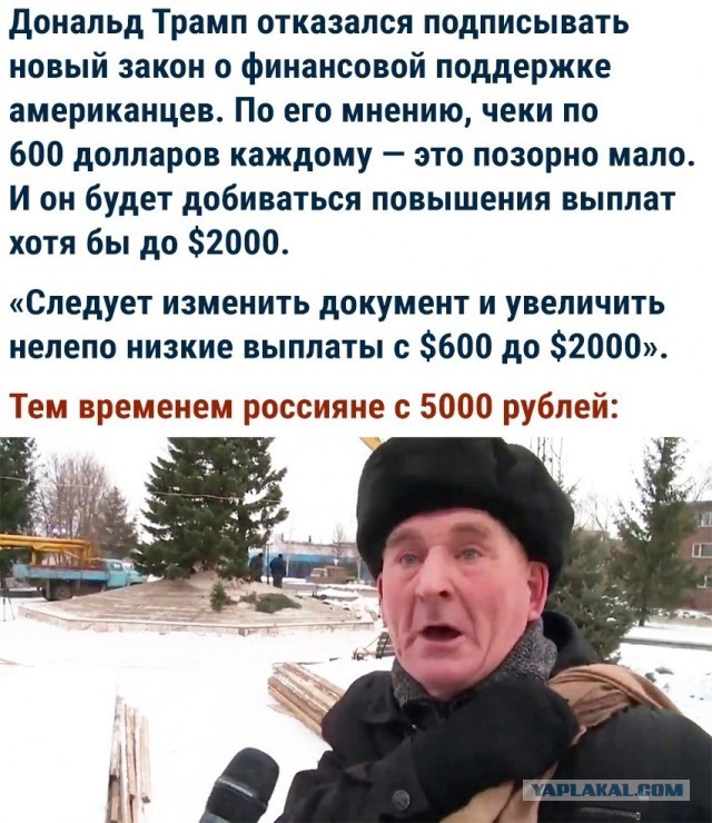 Сотня картинок для настроения 25.12.2020