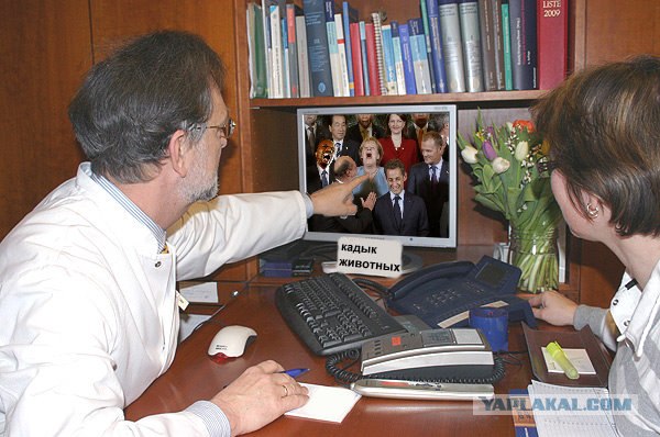 Фотожаба: Что с Анжелой Меркель?
