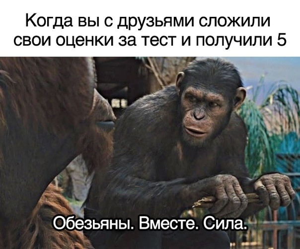 Весёлый полтишок 5.03