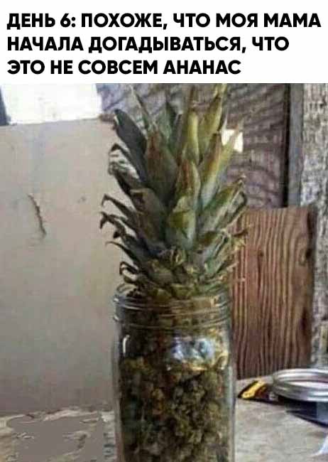 Опять 25, но не 25