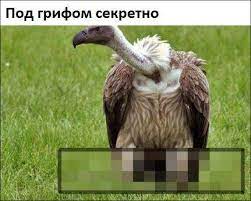 Короче. Белоруссия заземляет рейс Ryanair. Версия Орды.