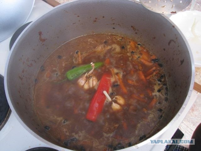ПЛОВ