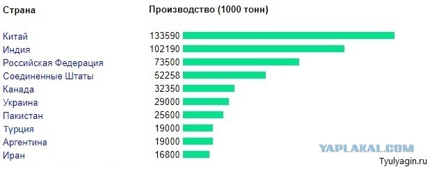 "В России дешевеет только рубль и жизнь человека, а цены растут