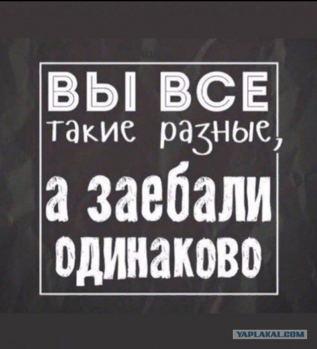 Я не хачу с табой разгаваривать, ти мусор! А я гражданин Армении
