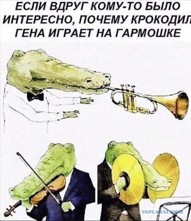 Картинки и мемы для настроения 029