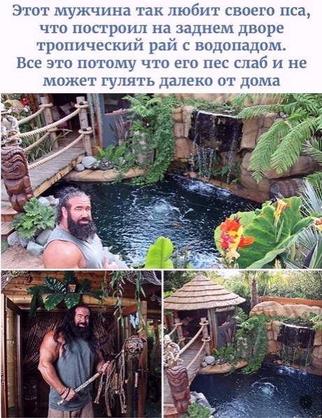 Так себе картинки 28.08.21