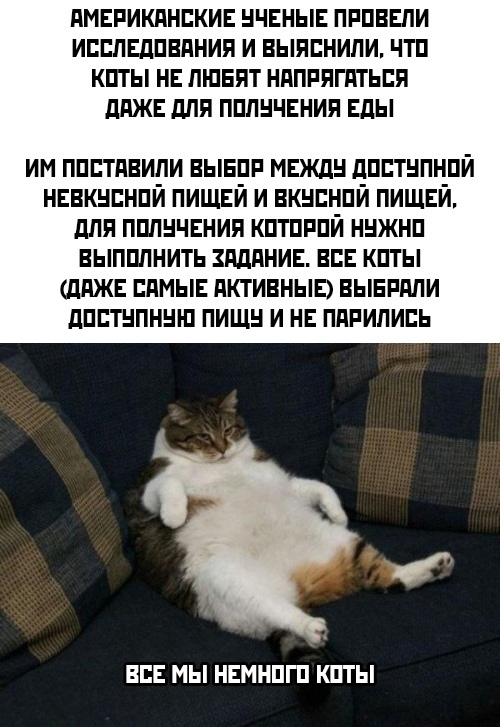 Весёлый полтишок 31.08