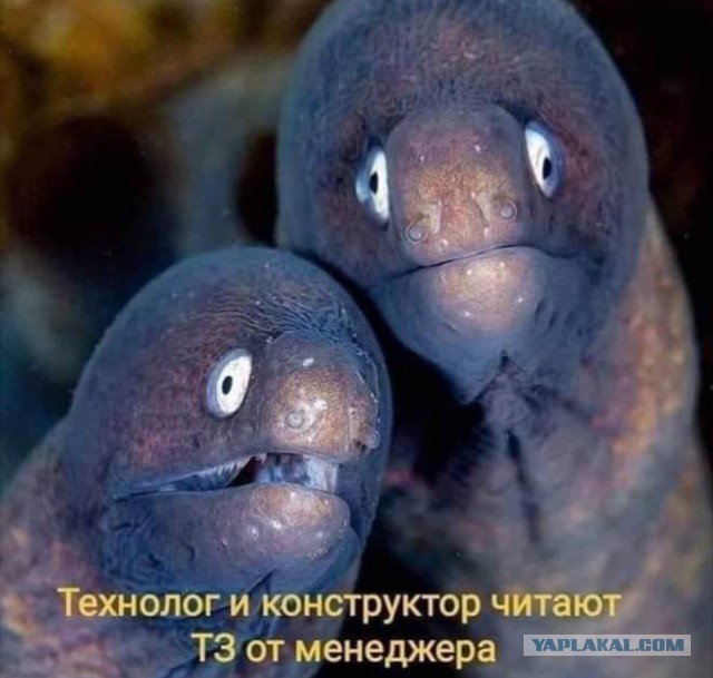 Картинки - не картинки. Смешные - не смешные 2