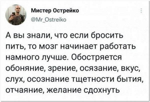 Всяческие картинки 08.11.2021