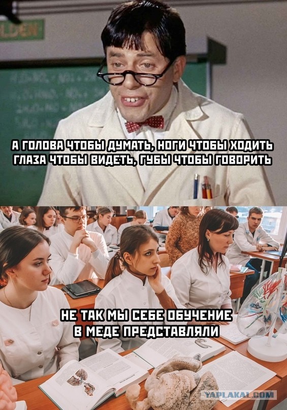 Весёлый полтишок 11.11