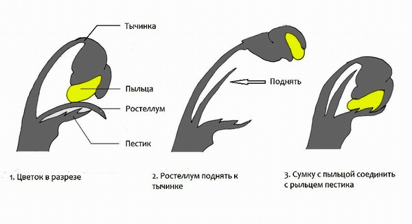 16 познавательных фактов о разном, которые расскажут то, о чём не пишут в учебниках