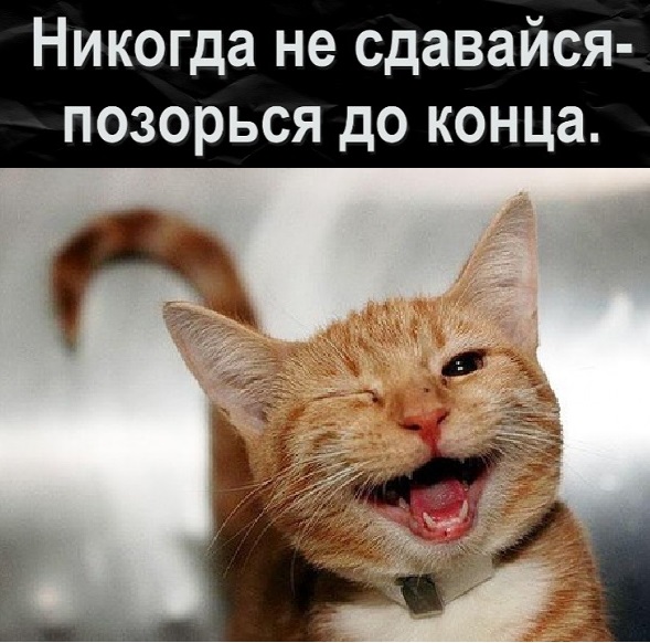 Картинки с надписями и всякие жизненные фразы