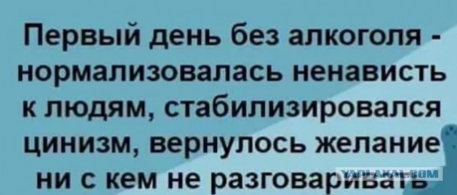 Веселые картинки 20.01.2022
