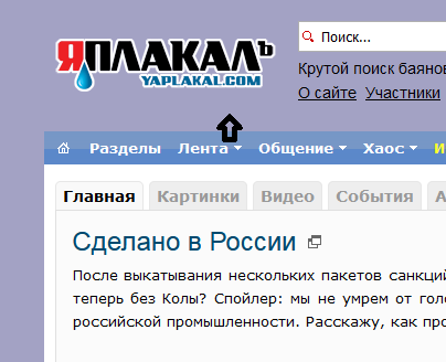 Как поймать собаку