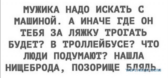 Забавные и веселые картинки