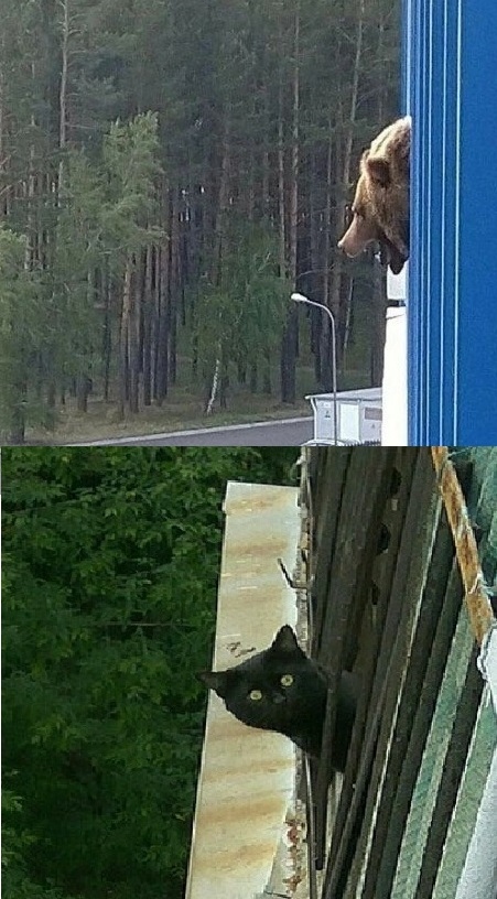 Картинки и мемы, всем хороших выходных