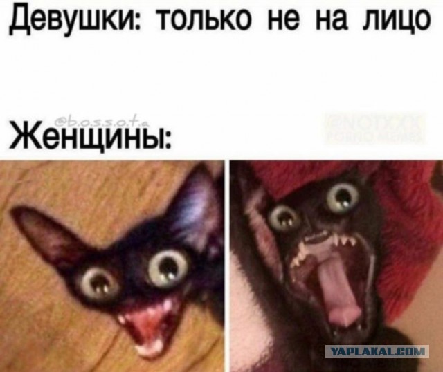 Почему женщины 40+ не торопятся выходить замуж