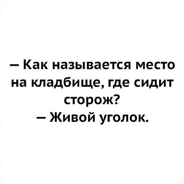 Так себе картинки 12.08.23