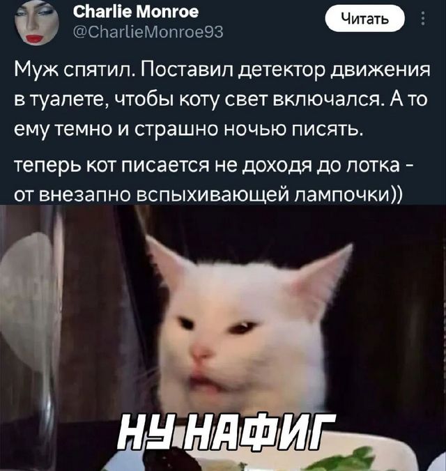 Завалялось тут случайно немного забавных картинок