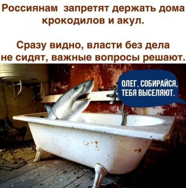 Завалялось тут случайно немного забавных картинок
