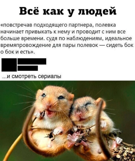 Картинки разные с надписями и без