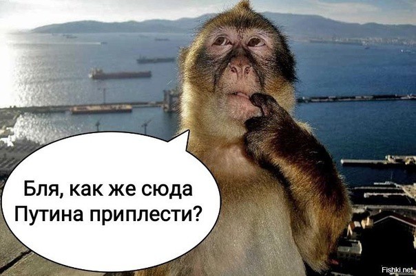 Готовимся к зиме