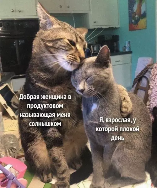 Картиночки, баянчики 05 марта