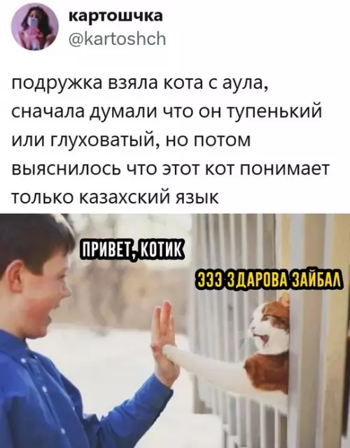 Картиночки, баянчики 11 марта