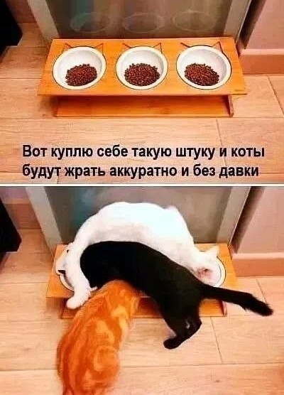 Картинки для деградации 248 (разной степени свежести)
