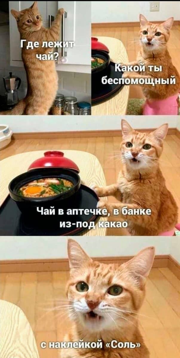 Картиночки, баянчики 01 августа