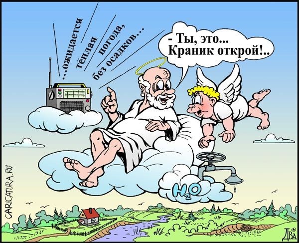 Грибов много, а орехов мало: какой будет зима