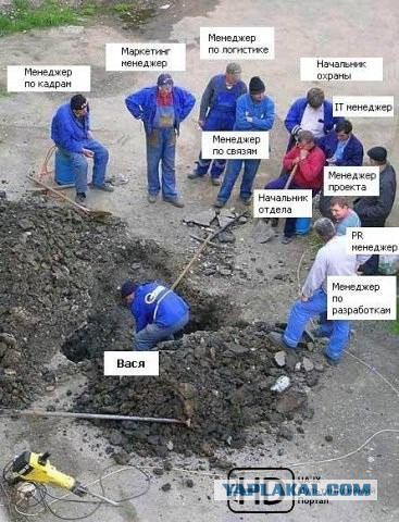 Белые воротнички...