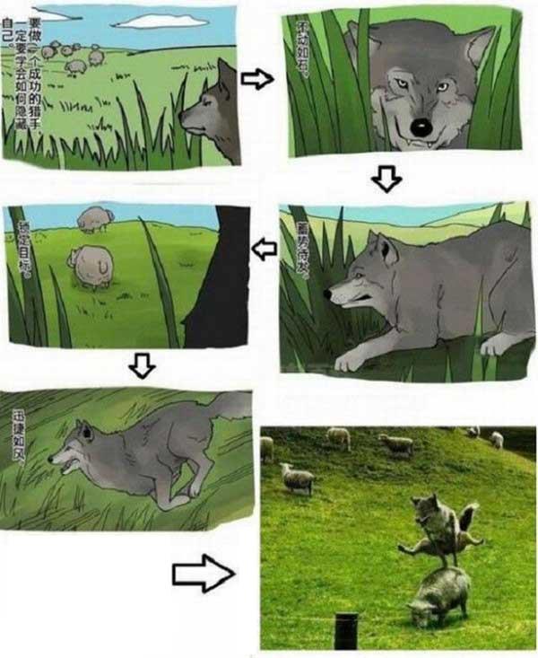 Весёлые картинки. Разбавим будни