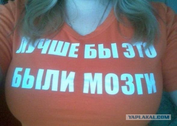 Смешное из соц сетей